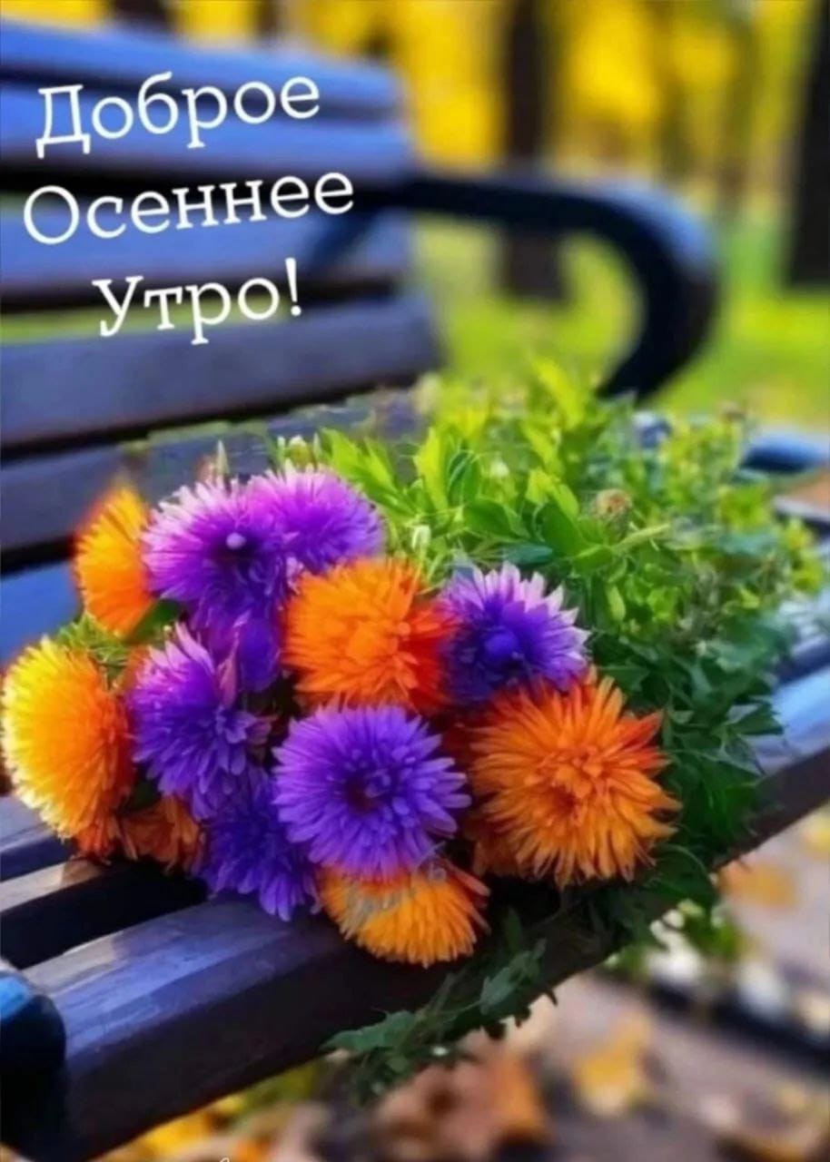 http://upforme.ru/uploads/000a/78/7a/526/285811.jpg