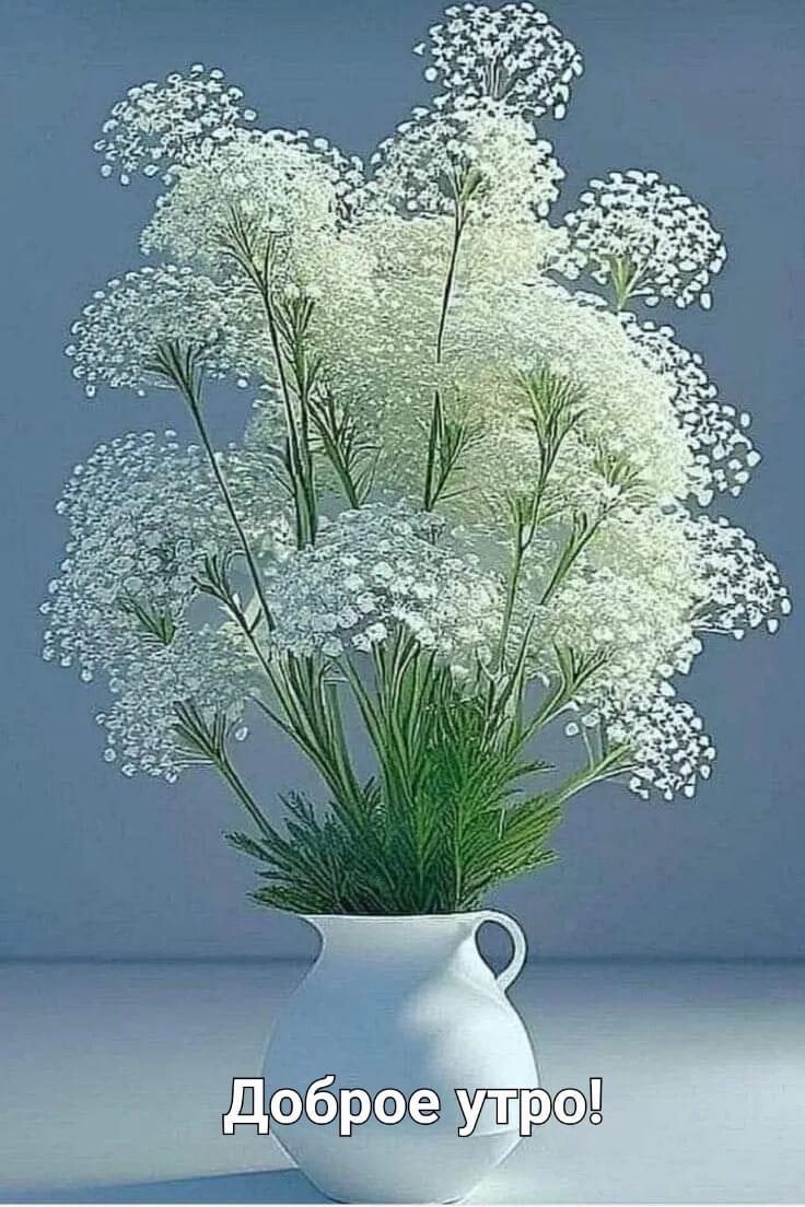 http://upforme.ru/uploads/000a/78/7a/526/302057.jpg