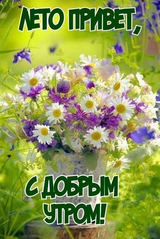 http://upforme.ru/uploads/000a/78/7a/526/312119.jpg