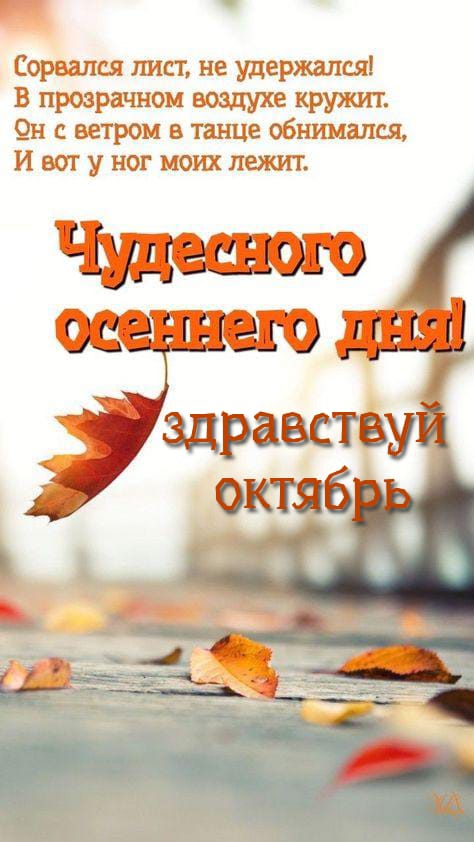 http://upforme.ru/uploads/000a/78/7a/526/32210.jpg