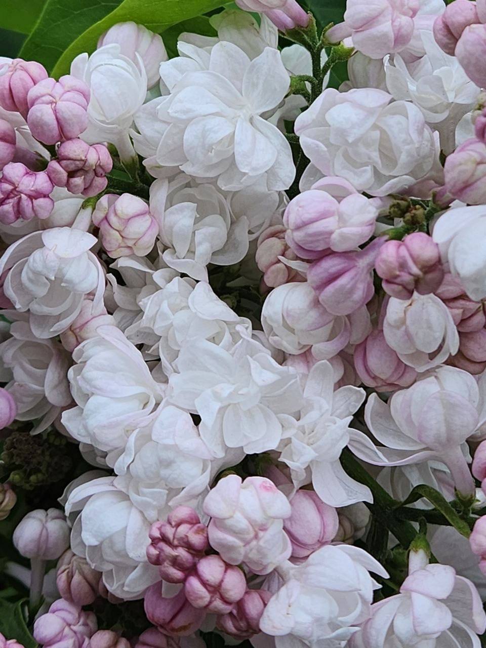 http://upforme.ru/uploads/000a/78/7a/526/322233.jpg
