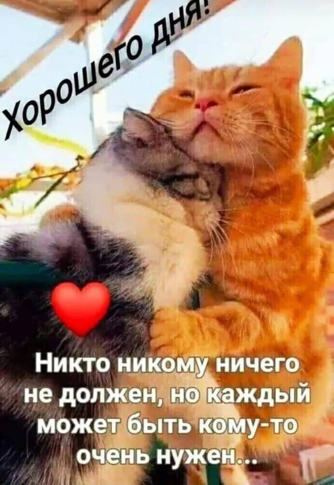 http://upforme.ru/uploads/000a/78/7a/526/325709.jpg