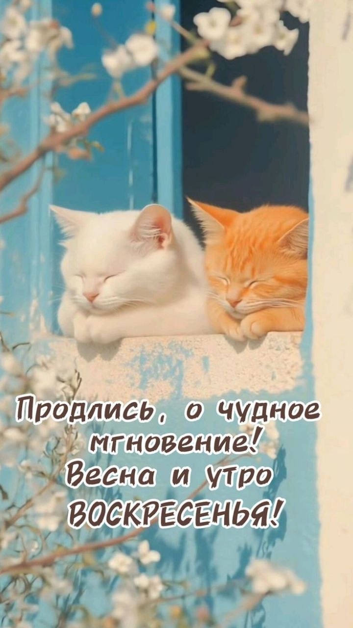 http://upforme.ru/uploads/000a/78/7a/526/337446.jpg