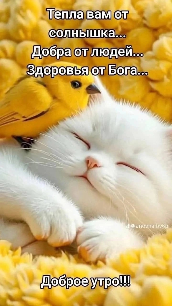 http://upforme.ru/uploads/000a/78/7a/526/345290.jpg