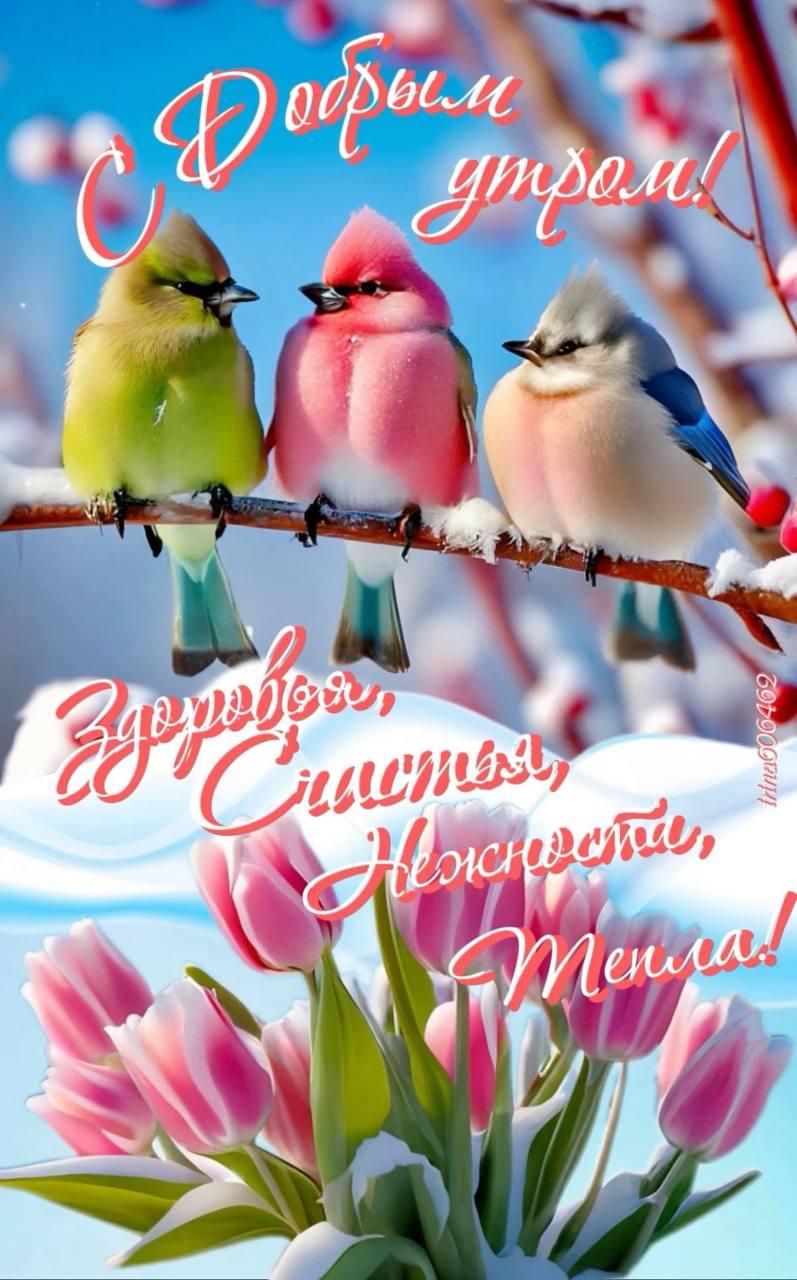 http://upforme.ru/uploads/000a/78/7a/526/360525.jpg