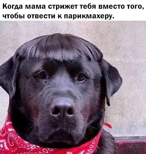 http://upforme.ru/uploads/000a/78/7a/526/363162.jpg