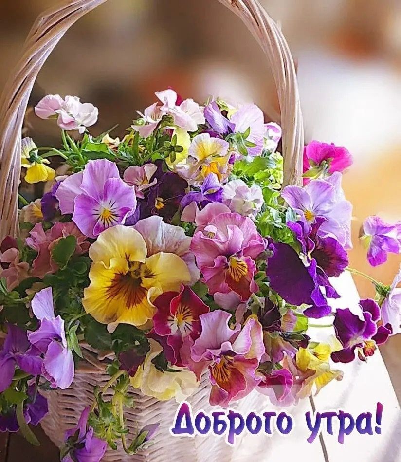 http://upforme.ru/uploads/000a/78/7a/526/390297.jpg