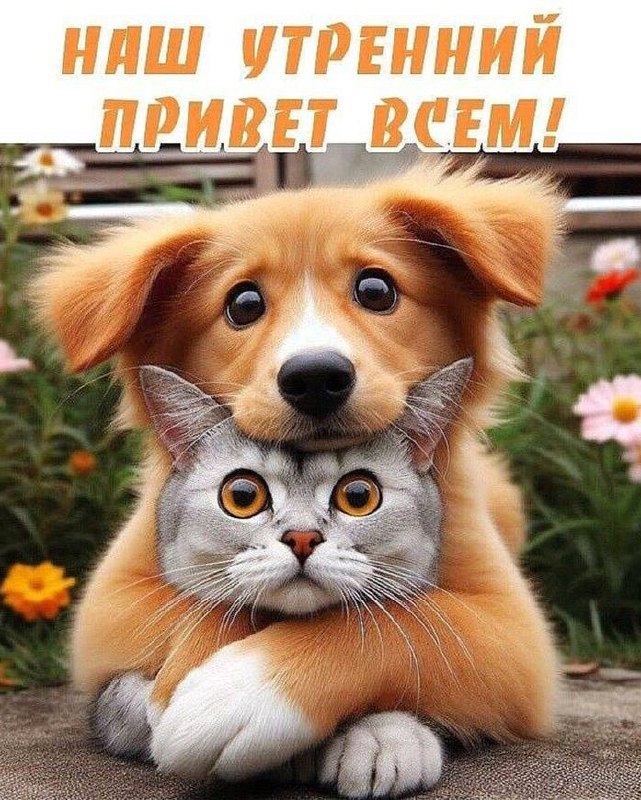 http://upforme.ru/uploads/000a/78/7a/526/39262.jpg