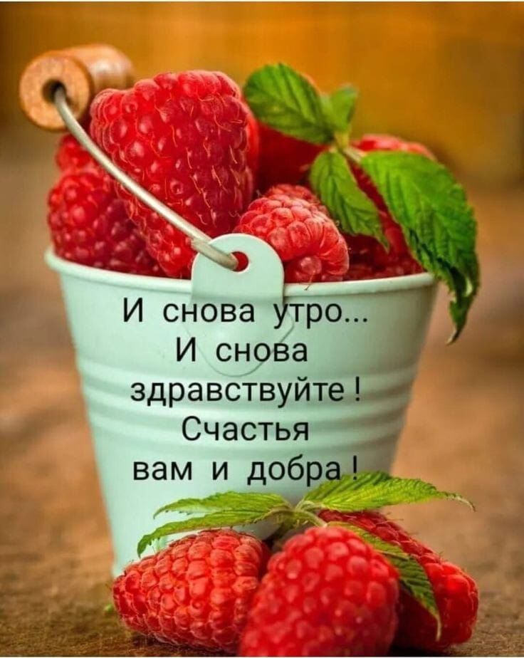 http://upforme.ru/uploads/000a/78/7a/526/406208.jpg