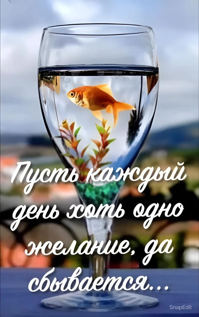 http://upforme.ru/uploads/000a/78/7a/526/427713.jpg