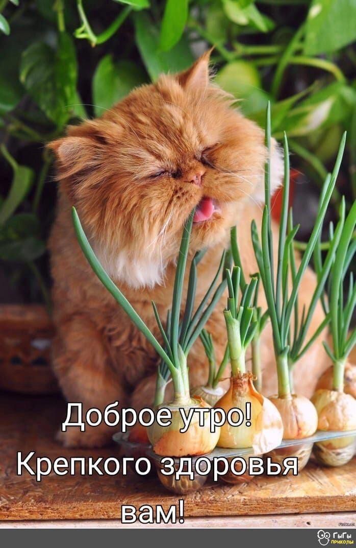 http://upforme.ru/uploads/000a/78/7a/526/432203.jpg