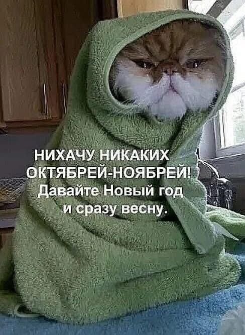 http://upforme.ru/uploads/000a/78/7a/526/464064.jpg