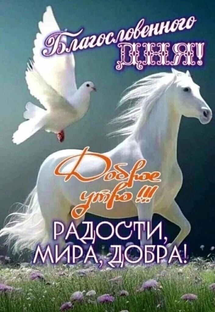 http://upforme.ru/uploads/000a/78/7a/526/472438.jpg