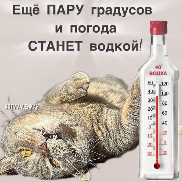http://upforme.ru/uploads/000a/78/7a/526/476506.jpg