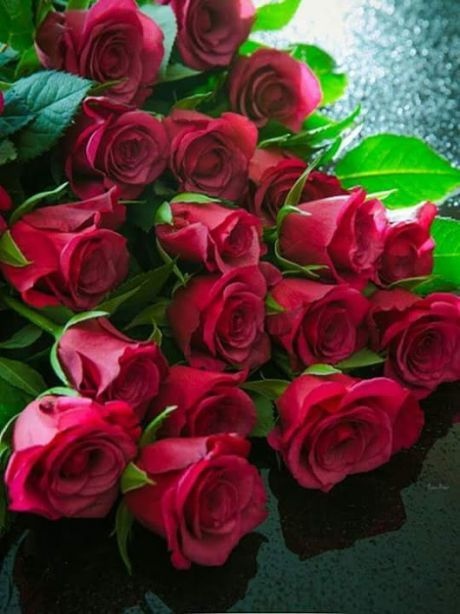 http://upforme.ru/uploads/000a/78/7a/526/480704.jpg