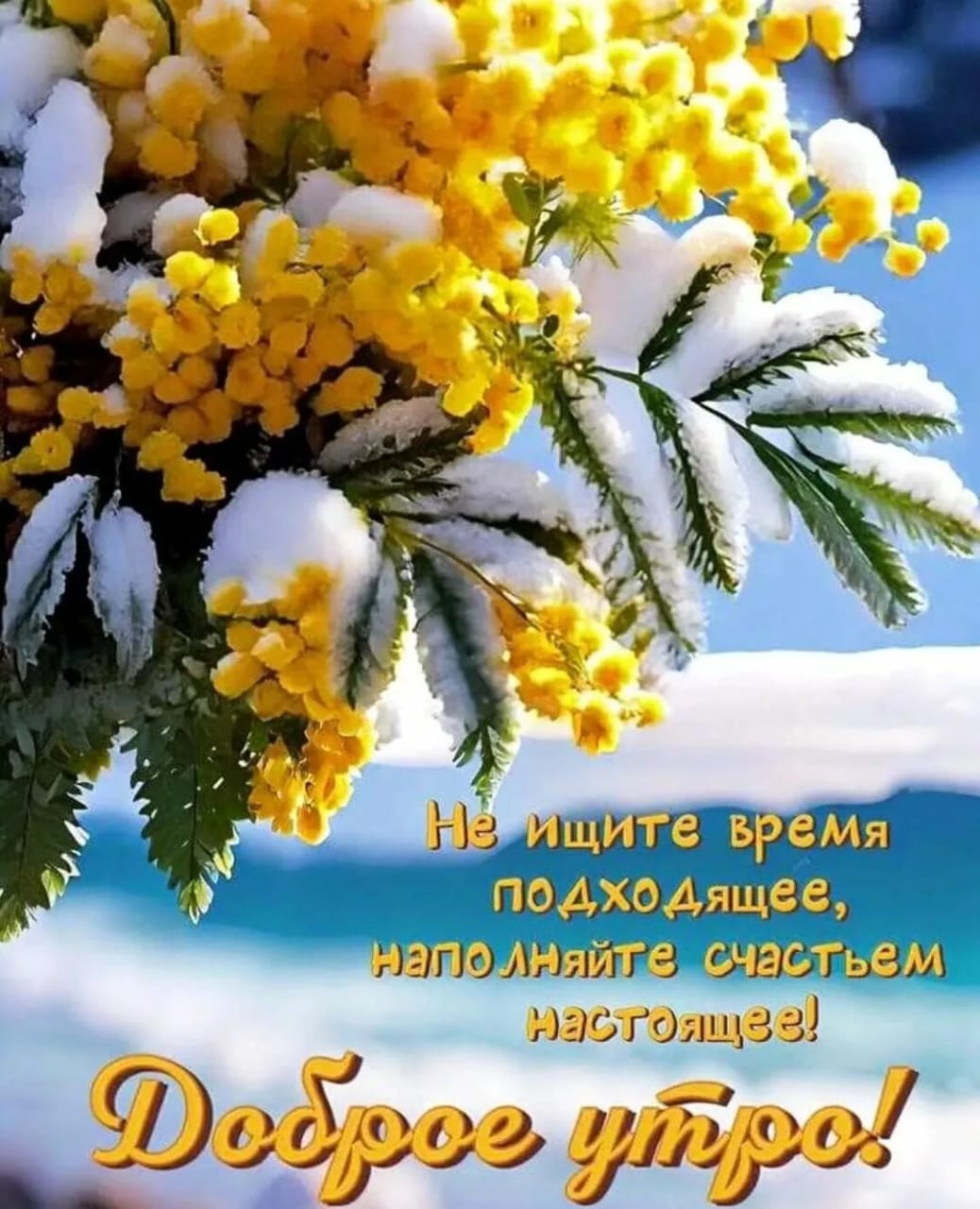 http://upforme.ru/uploads/000a/78/7a/526/481131.jpg
