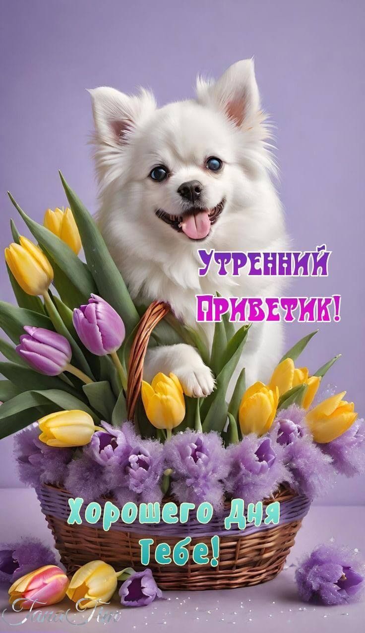 http://upforme.ru/uploads/000a/78/7a/526/513128.jpg