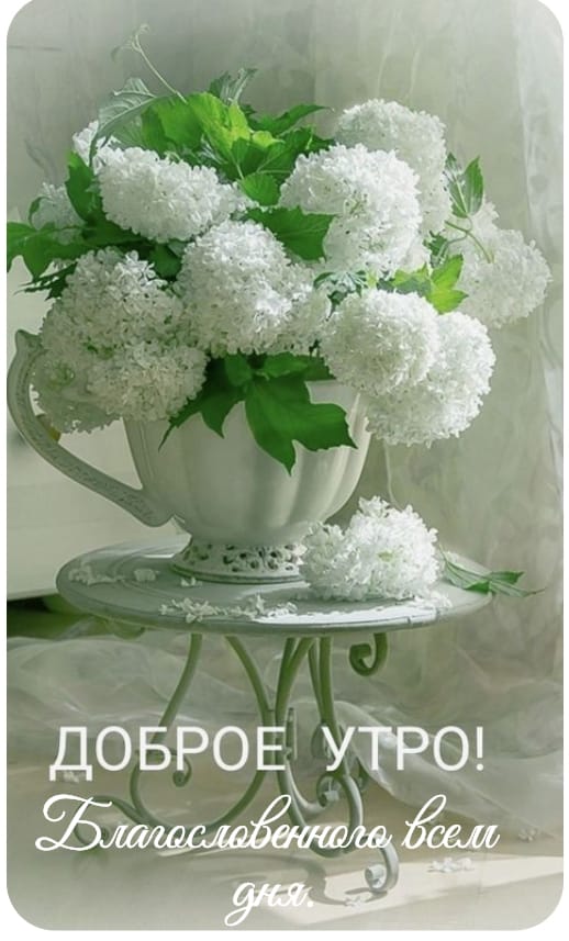 http://upforme.ru/uploads/000a/78/7a/526/521557.jpg