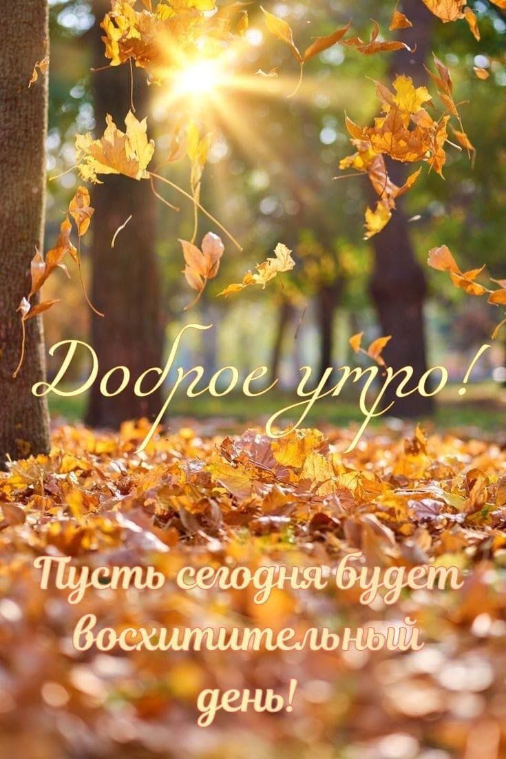 http://upforme.ru/uploads/000a/78/7a/526/529348.jpg