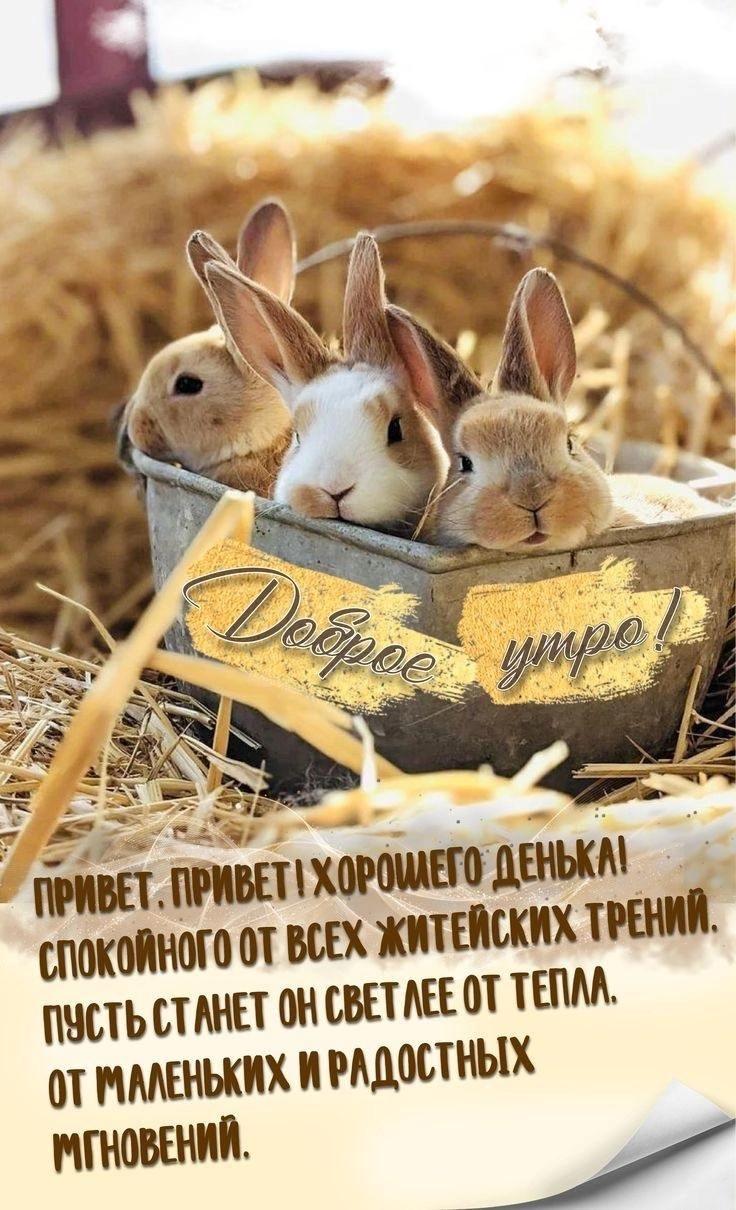 http://upforme.ru/uploads/000a/78/7a/526/537668.jpg