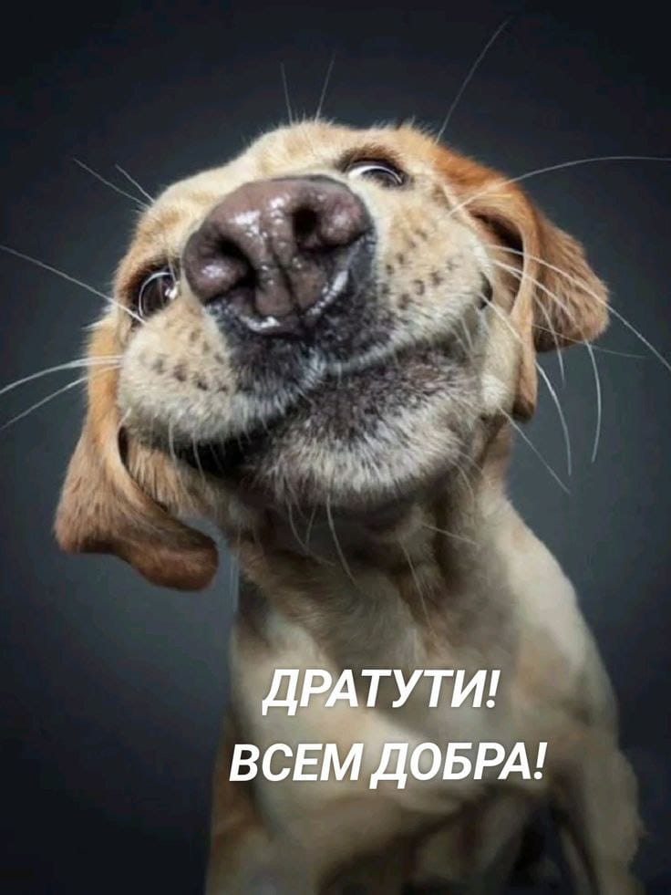 http://upforme.ru/uploads/000a/78/7a/526/537803.jpg