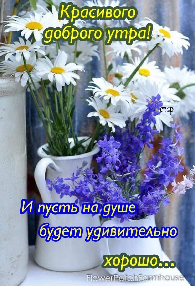 http://upforme.ru/uploads/000a/78/7a/526/56887.jpg