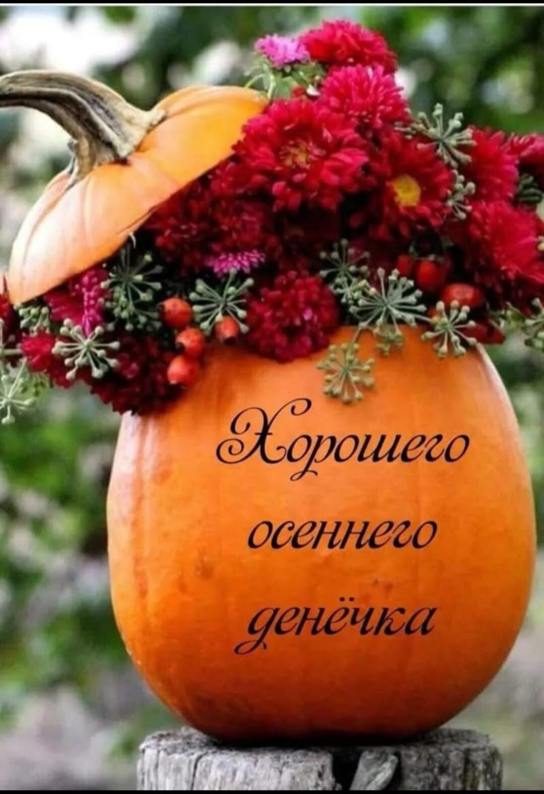 http://upforme.ru/uploads/000a/78/7a/526/569201.jpg