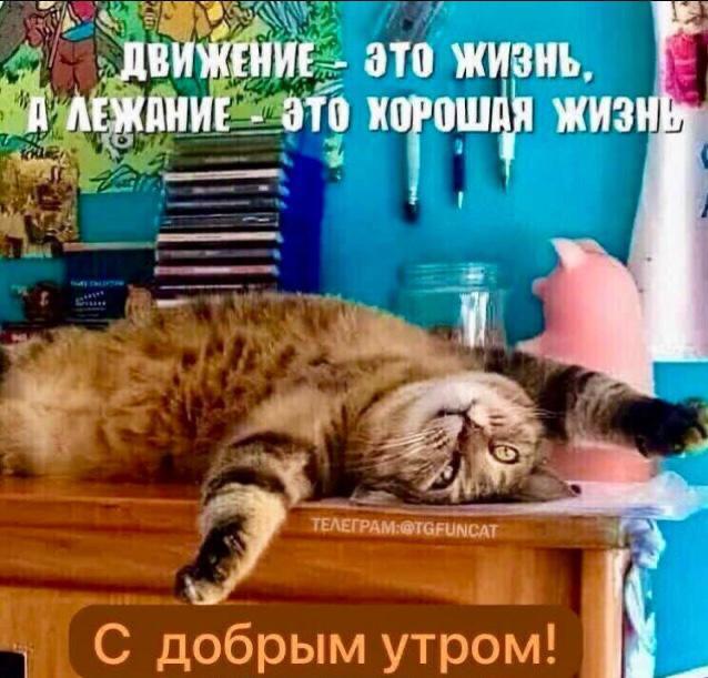 http://upforme.ru/uploads/000a/78/7a/526/576911.jpg