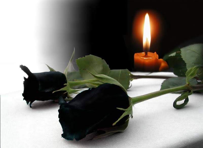http://upforme.ru/uploads/000a/78/7a/526/590641.jpg