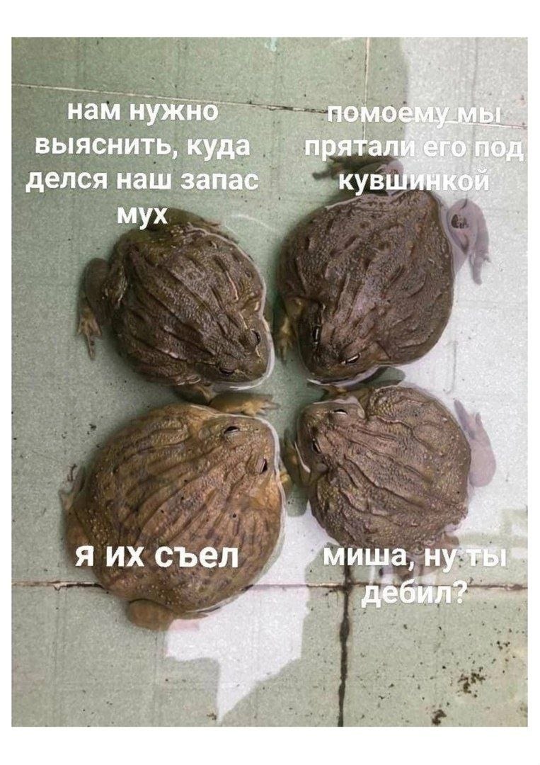 http://upforme.ru/uploads/000a/78/7a/526/595221.jpg