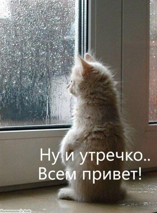 http://upforme.ru/uploads/000a/78/7a/526/604269.jpg