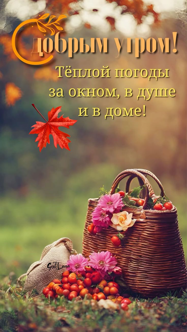 http://upforme.ru/uploads/000a/78/7a/526/606646.jpg