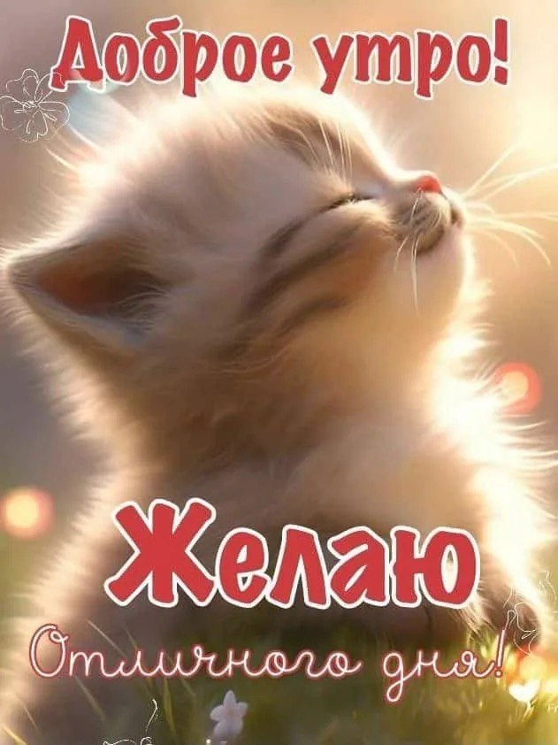 http://upforme.ru/uploads/000a/78/7a/526/610798.jpg