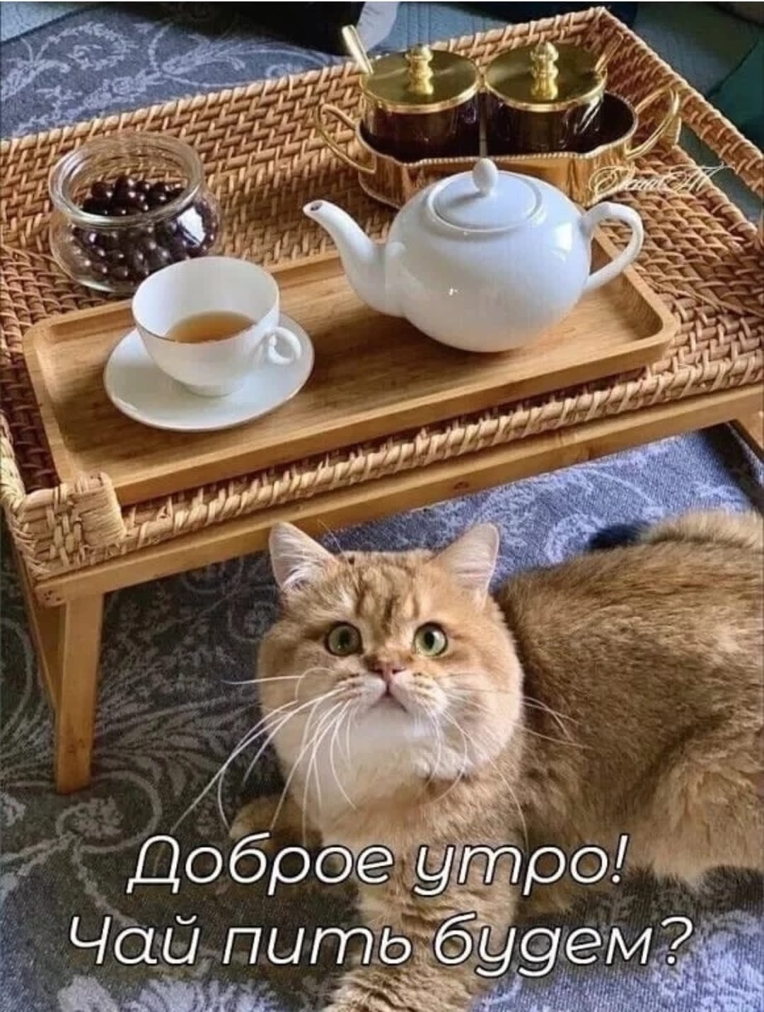 http://upforme.ru/uploads/000a/78/7a/526/610923.jpg