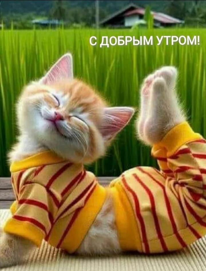 http://upforme.ru/uploads/000a/78/7a/526/61431.jpg