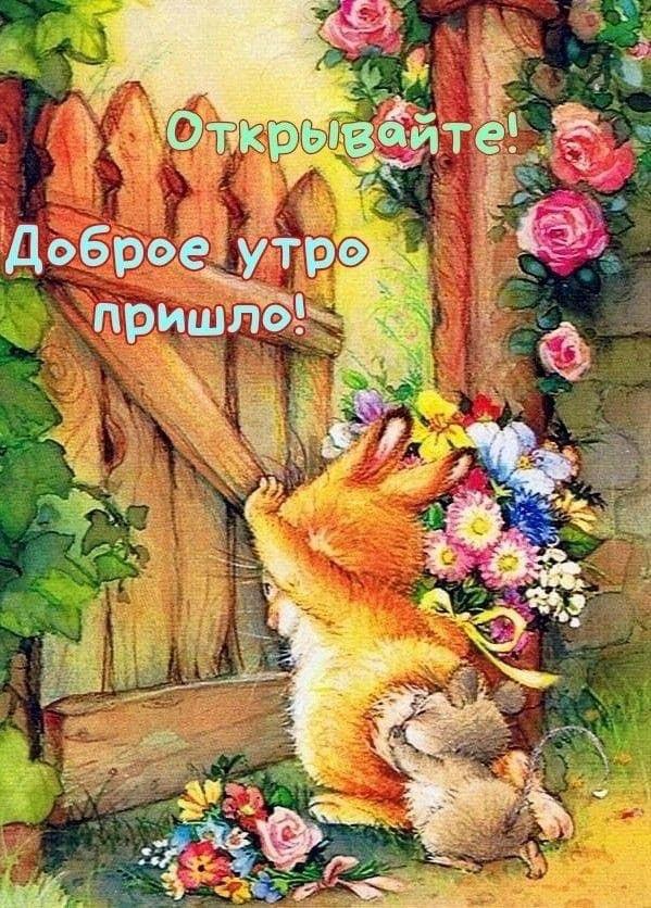 http://upforme.ru/uploads/000a/78/7a/526/62425.jpg