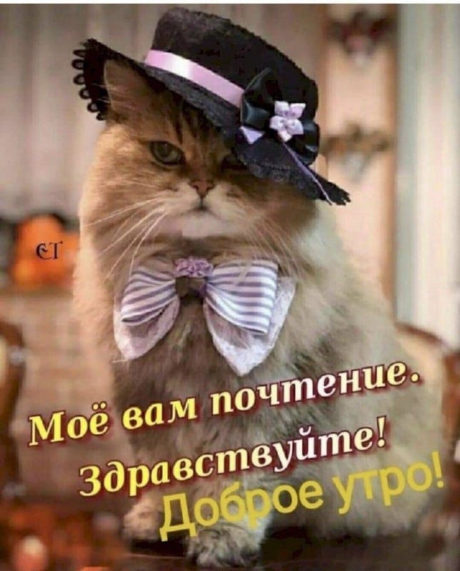 http://upforme.ru/uploads/000a/78/7a/526/629445.jpg