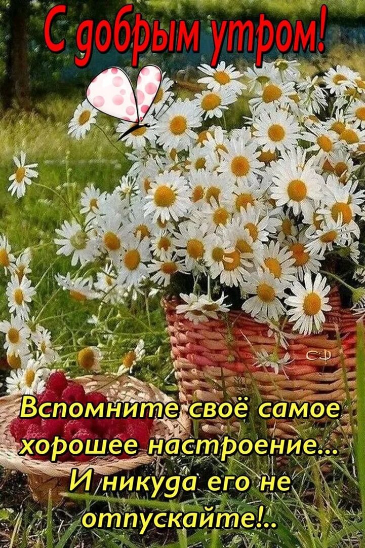http://upforme.ru/uploads/000a/78/7a/526/632100.jpg