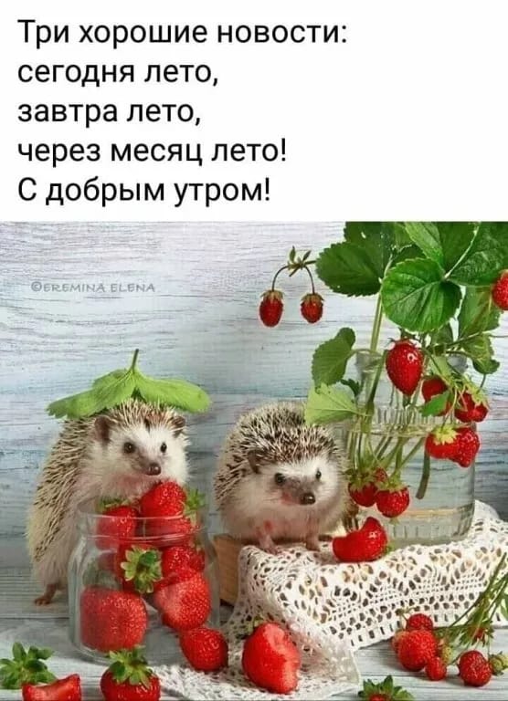 http://upforme.ru/uploads/000a/78/7a/526/641242.jpg