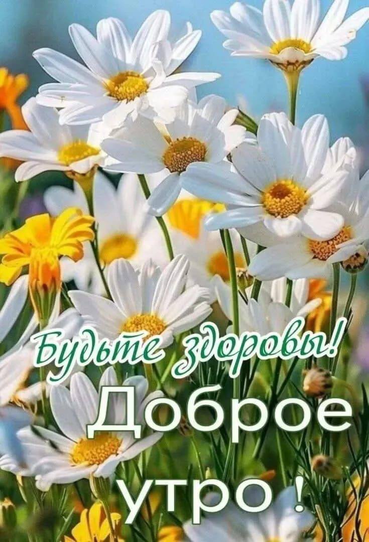 http://upforme.ru/uploads/000a/78/7a/526/648426.jpg