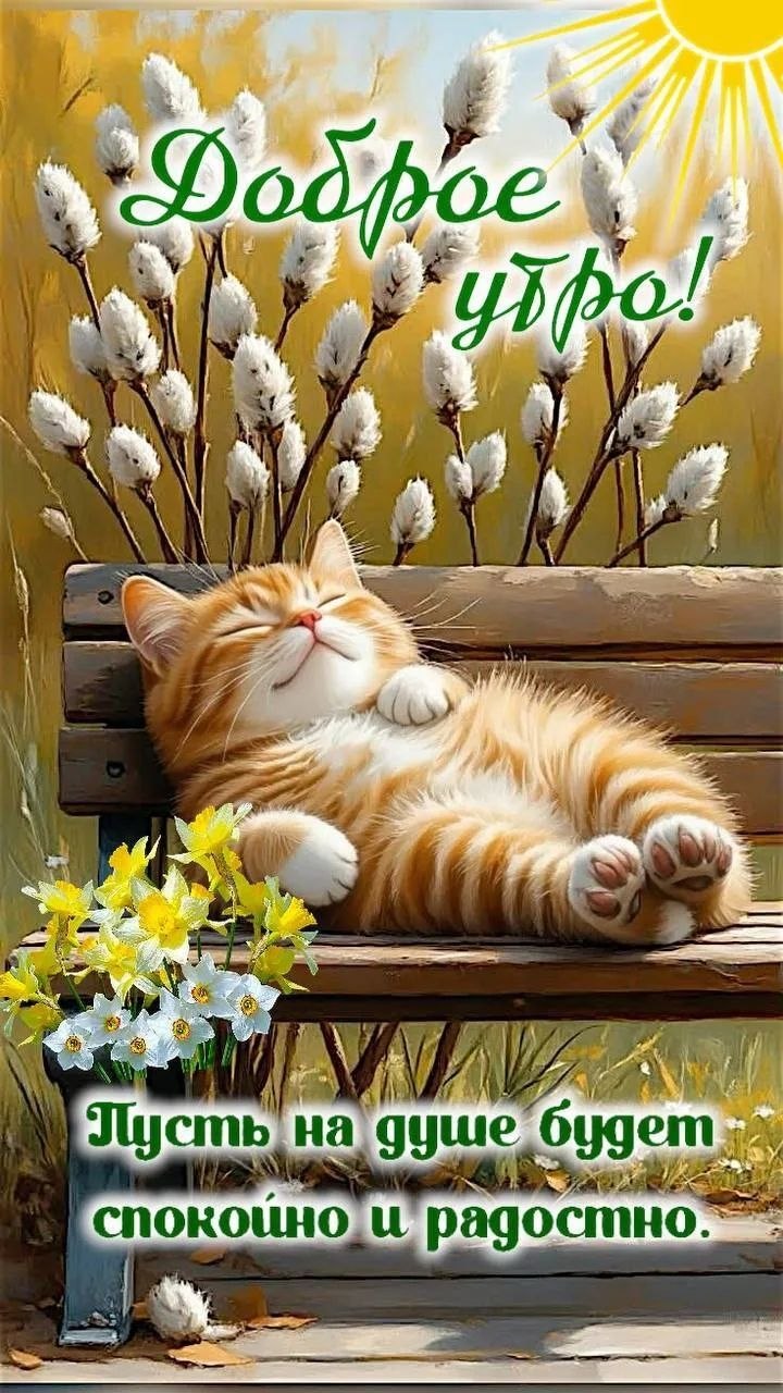 http://upforme.ru/uploads/000a/78/7a/526/659258.jpg