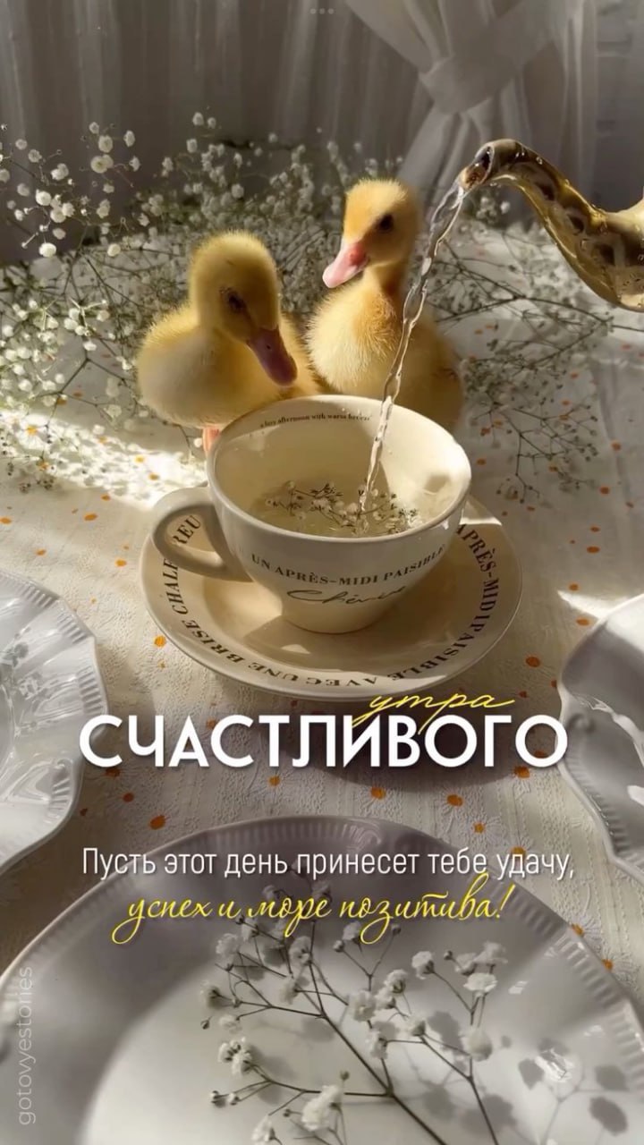 http://upforme.ru/uploads/000a/78/7a/526/660601.jpg