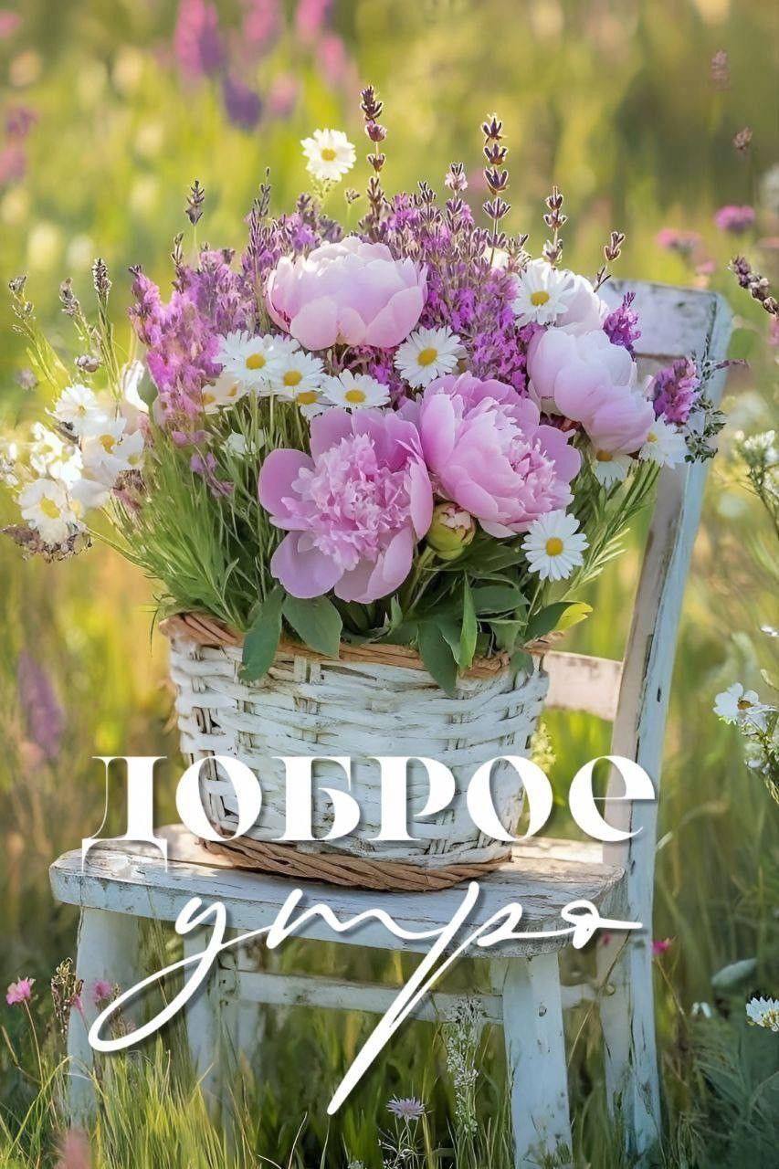 http://upforme.ru/uploads/000a/78/7a/526/68056.jpg
