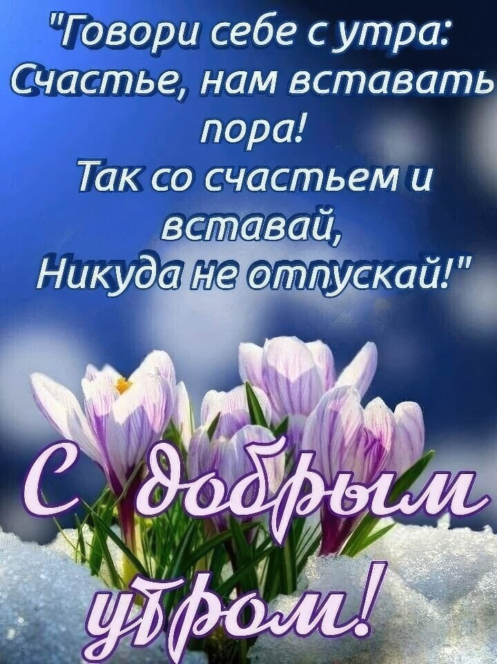 http://upforme.ru/uploads/000a/78/7a/526/689699.jpg