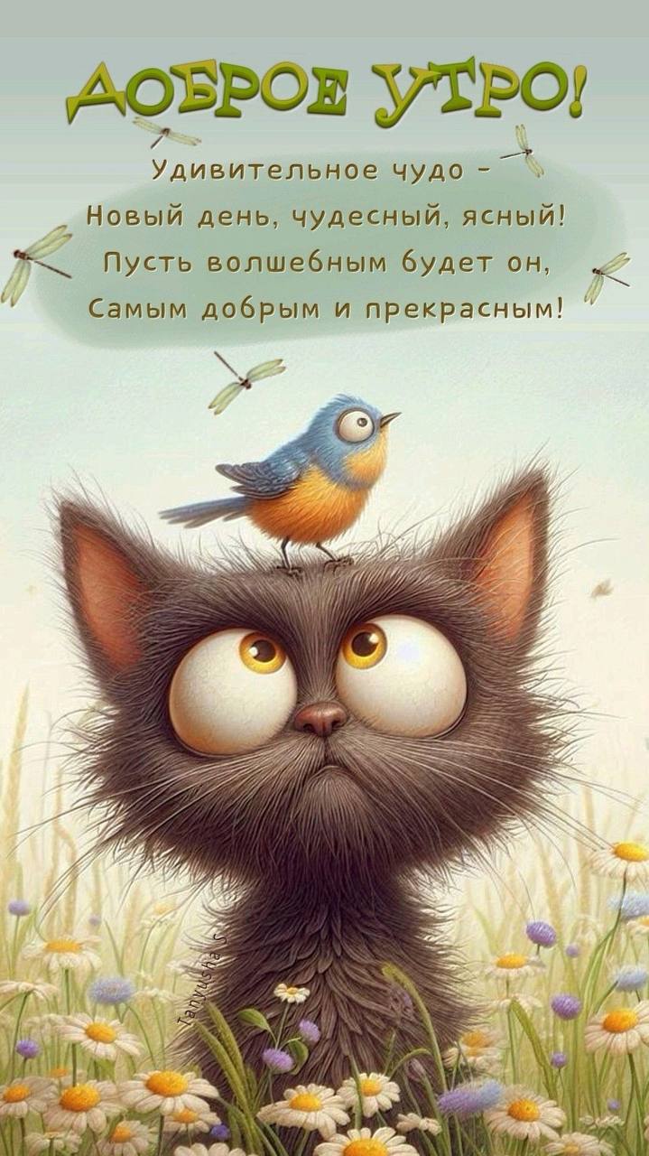 http://upforme.ru/uploads/000a/78/7a/526/690998.jpg