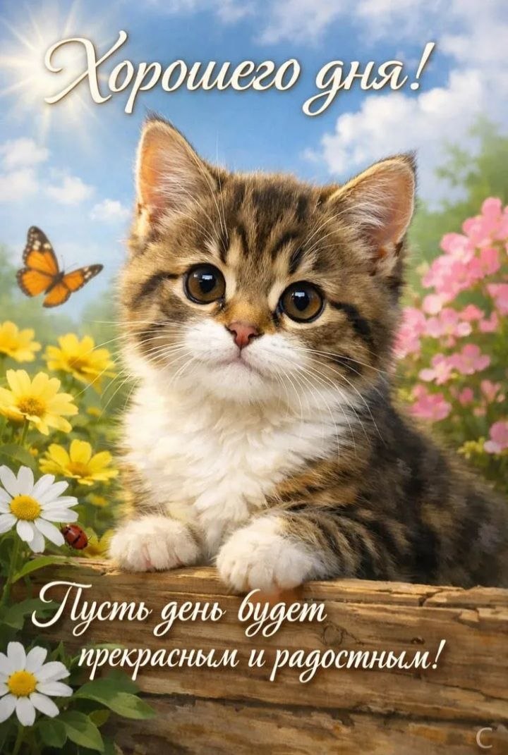 http://upforme.ru/uploads/000a/78/7a/526/702059.jpg