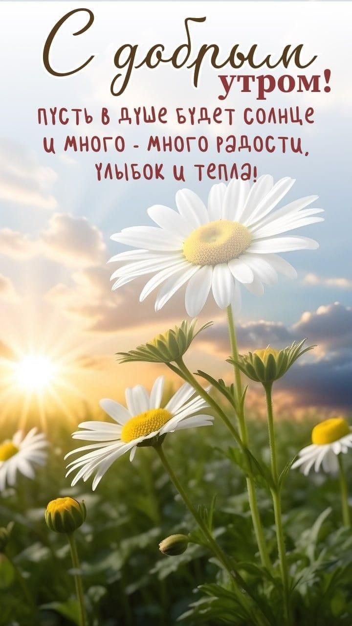 http://upforme.ru/uploads/000a/78/7a/526/712326.jpg