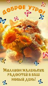 http://upforme.ru/uploads/000a/78/7a/526/714261.jpg