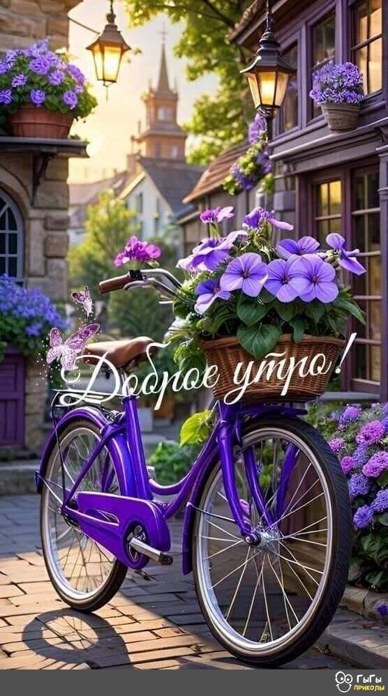 http://upforme.ru/uploads/000a/78/7a/526/721233.jpg