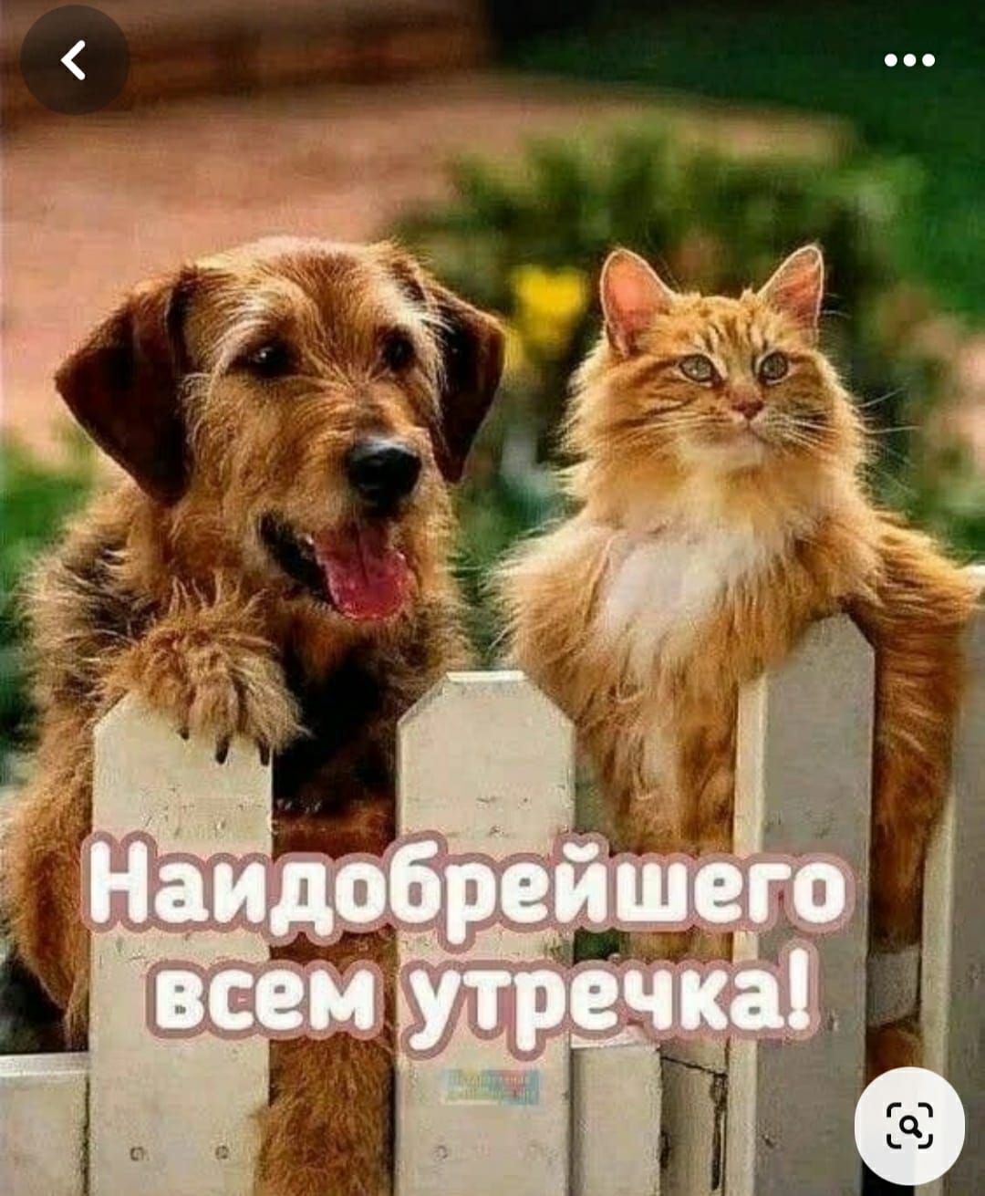 http://upforme.ru/uploads/000a/78/7a/526/723141.jpg